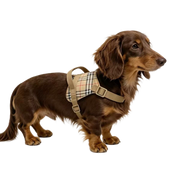 Burberry Check — Harness + Leash Set