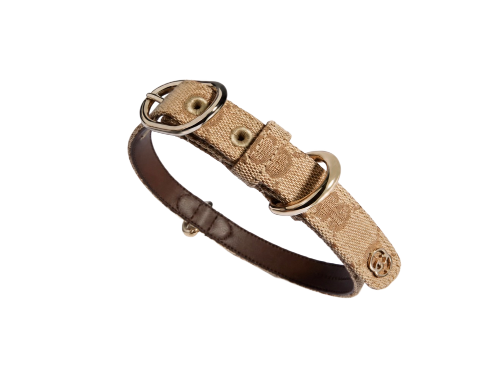 GG Beige — Collar + Leash Set