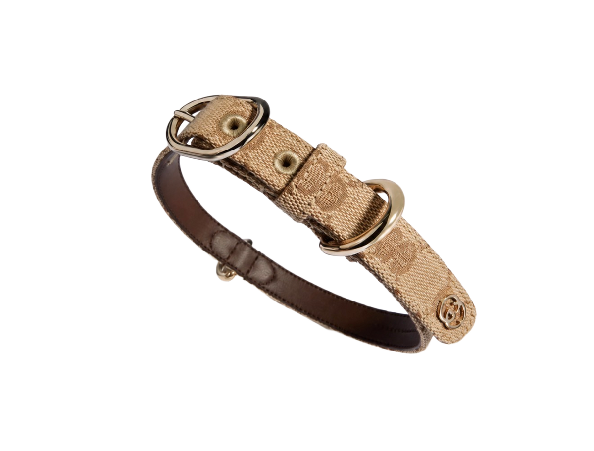 GG Beige — Collar + Leash Set