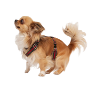 GG — Harness + Leash Set